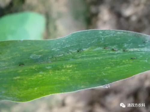 הQôkץoQ(hu)Ӱ푮a(chn)!!!