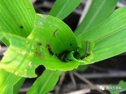 הQôkץoQ(hu)Ӱ푮a(chn)!!!