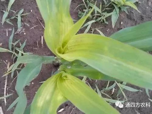 הQôkץoQ(hu)Ӱ푮a(chn)!!!